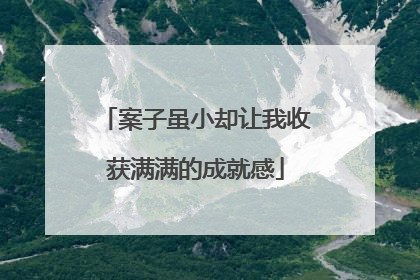 案子虽小却让我收获满满的成就感