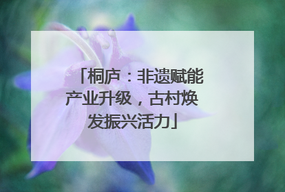 桐庐：非遗赋能产业升级，古村焕发振兴活力