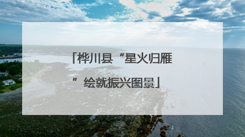 桦川县“星火归雁”绘就振兴图景