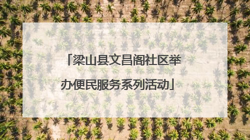 梁山县文昌阁社区举办便民服务系列活动