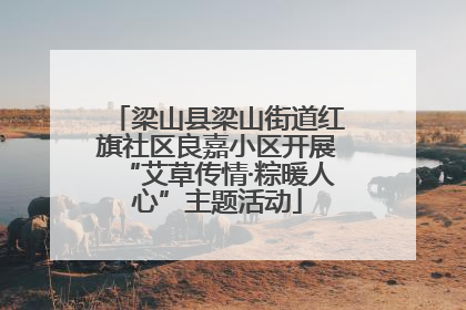 梁山县梁山街道红旗社区良嘉小区开展“艾草传情·粽暖人心”主题活动
