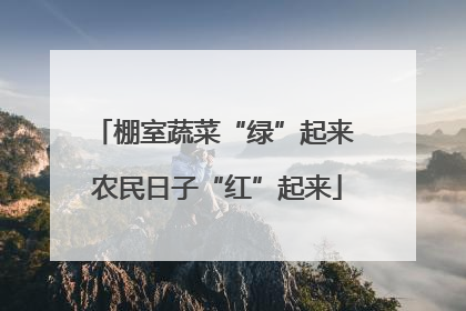 棚室蔬菜“绿”起来 农民日子“红”起来