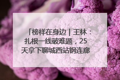 榜样在身边｜王林：扎根一线破难题，25天拿下聊城西站钢连廊“硬核”工程