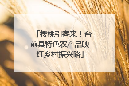 樱桃引客来！台前县特色农产品映红乡村振兴路