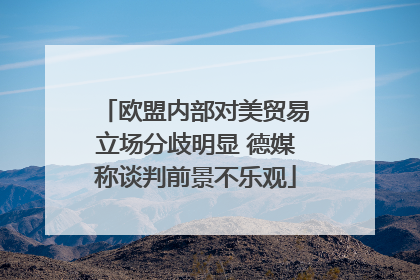 欧盟内部对美贸易立场分歧明显 德媒称谈判前景不乐观