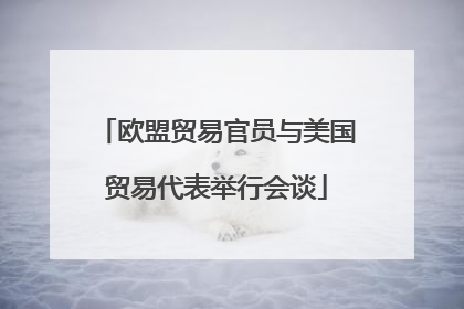 欧盟贸易官员与美国贸易代表举行会谈