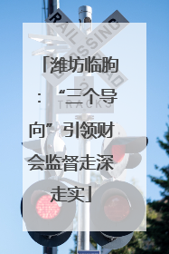 潍坊临朐：“三个导向”引领财会监督走深走实