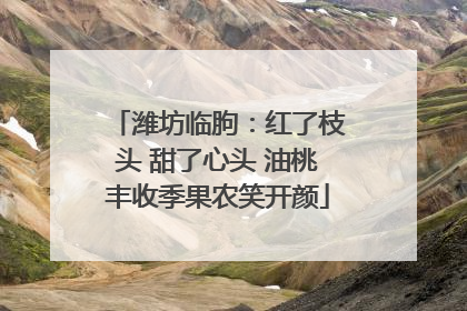 潍坊临朐：红了枝头 甜了心头 油桃丰收季果农笑开颜