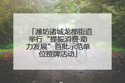 潍坊诸城龙都街道举行“提振消费·助力发展”首批示范单位授牌活动