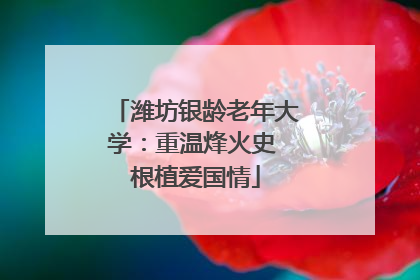 潍坊银龄老年大学：重温烽火史 根植爱国情