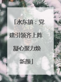 水东镇：党建引领齐上阵 凝心聚力焕新颜