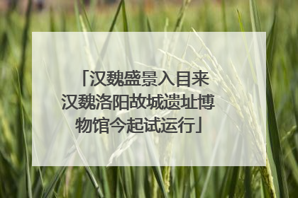 汉魏盛景入目来 汉魏洛阳故城遗址博物馆今起试运行