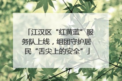 江汉区“红黄蓝”服务队上线，组团守护居民“舌尖上的安全”