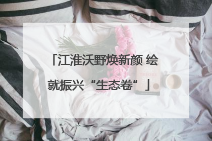 江淮沃野焕新颜 绘就振兴“生态卷”