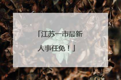 江苏一市最新人事任免！