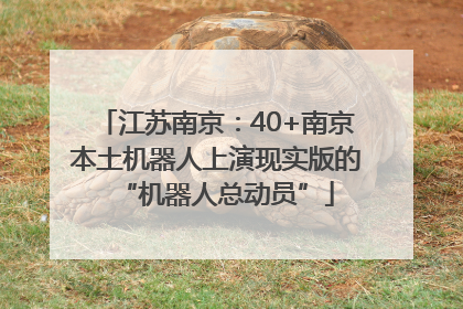 江苏南京：40+南京本土机器人上演现实版的“机器人总动员”