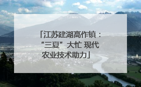 江苏建湖高作镇：“三夏”大忙 现代农业技术助力