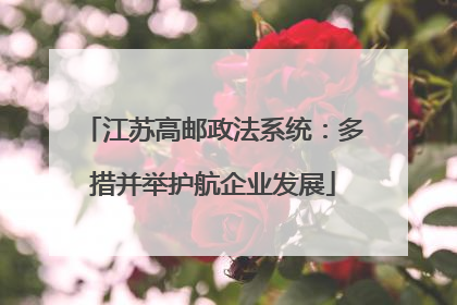 江苏高邮政法系统：多措并举护航企业发展
