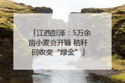 江西彭泽：5万余亩小麦喜开镰 秸秆回收变“绿金”