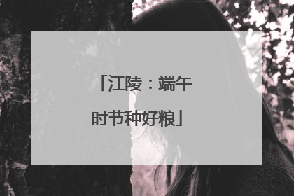 江陵：端午时节种好粮