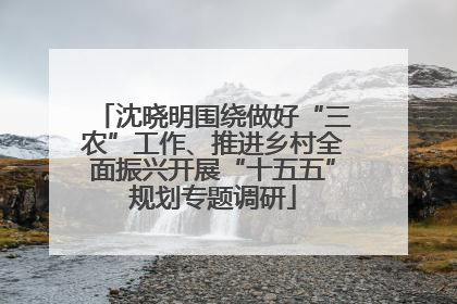 沈晓明围绕做好“三农”工作、推进乡村全面振兴开展“十五五”规划专题调研