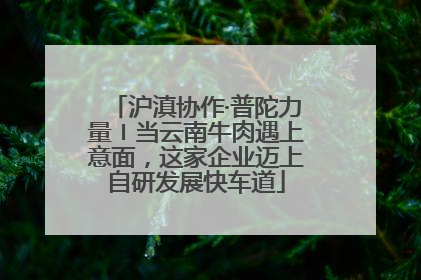 沪滇协作·普陀力量〡当云南牛肉遇上意面，这家企业迈上自研发展快车道