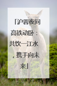 沪蓉夜间高铁动卧：共饮一江水，携手向未来