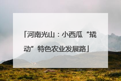 河南光山：小西瓜“撬动”特色农业发展路