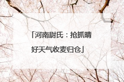 河南尉氏：抢抓晴好天气收麦归仓