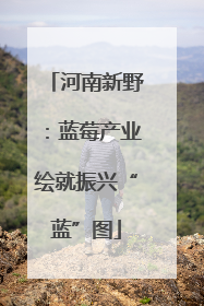 河南新野：蓝莓产业绘就振兴“蓝”图