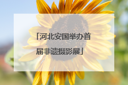 河北安国举办首届非遗摄影展
