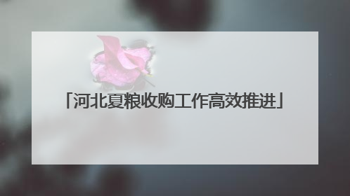 河北夏粮收购工作高效推进
