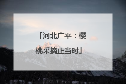 河北广平：樱桃采摘正当时
