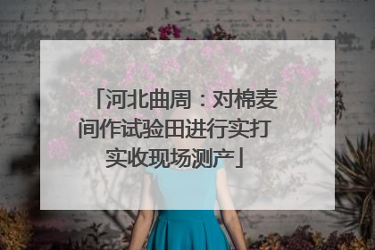 河北曲周：对棉麦间作试验田进行实打实收现场测产
