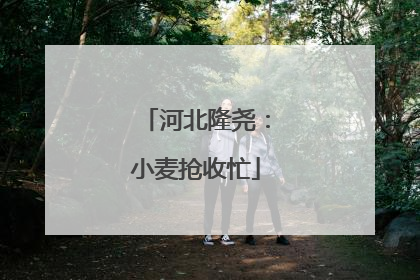 河北隆尧：小麦抢收忙