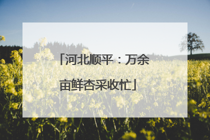 河北顺平：万余亩鲜杏采收忙