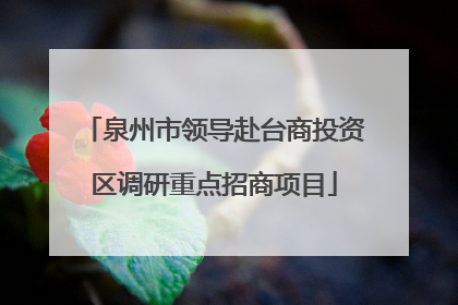 泉州市领导赴台商投资区调研重点招商项目