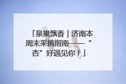 泉果飘香｜济南本周末采摘指南——“杏”好遇见你！