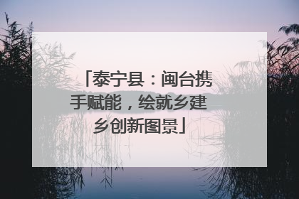 泰宁县：闽台携手赋能，绘就乡建乡创新图景