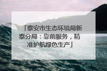 泰安市生态环境局新泰分局：靠前服务，精准护航绿色生产
