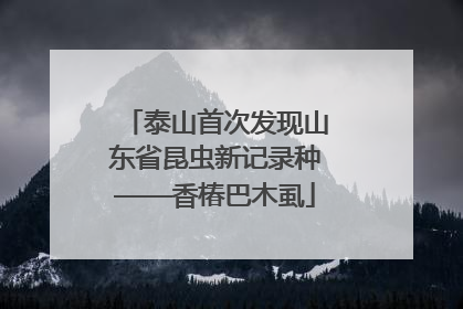 泰山首次发现山东省昆虫新记录种——香椿巴木虱