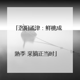 洛阳孟津：鲜桃成熟季 采摘正当时