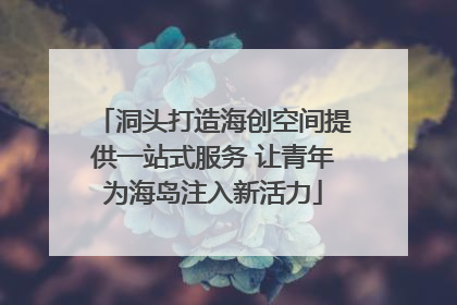 洞头打造海创空间提供一站式服务 让青年为海岛注入新活力