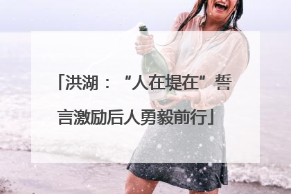 洪湖：“人在堤在”誓言激励后人勇毅前行