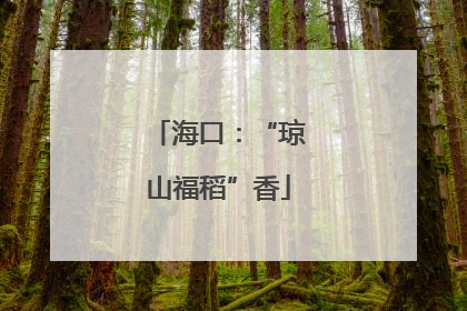 海口：“琼山福稻”香