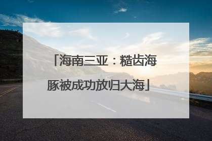 海南三亚：糙齿海豚被成功放归大海