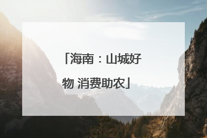 海南：山城好物 消费助农