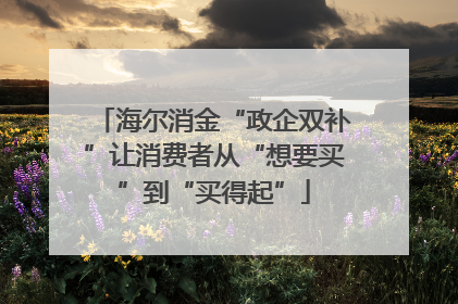 海尔消金“政企双补”让消费者从“想要买”到“买得起”