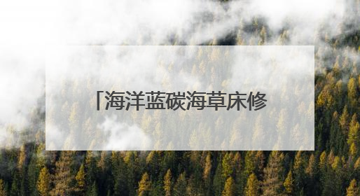 海洋蓝碳海草床修复行动开启 循环经济产业助力低碳社会建设丨新经济观察