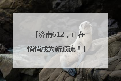 济南612，正在悄悄成为新顶流！